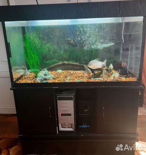 Аквариум с тумбой 500 литров