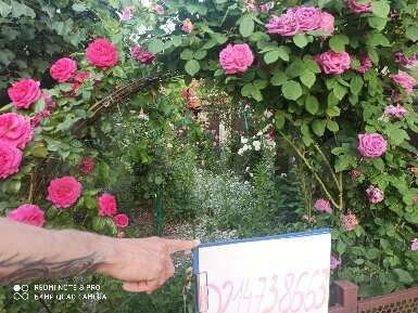 Дом 200 м² на участке 2 сот.