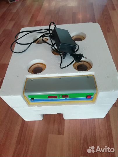 Инкубатор 24 яйца в аренду