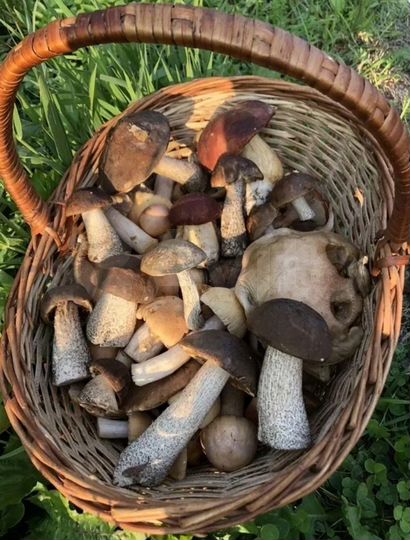 Дача 30 м² на участке 6,5 сот.