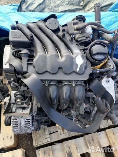 Двигатель Volkswagen Golf 4 Bora 1.6 AEH