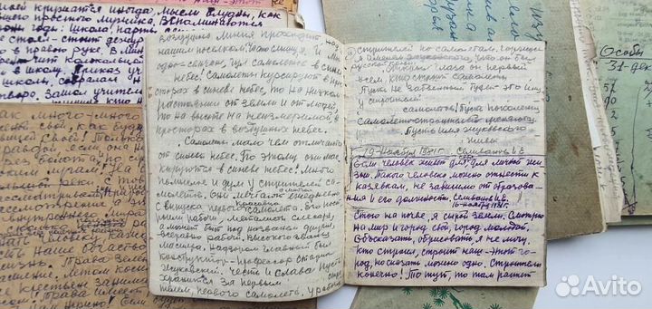 Дневники всемирно известного художника Селиванова