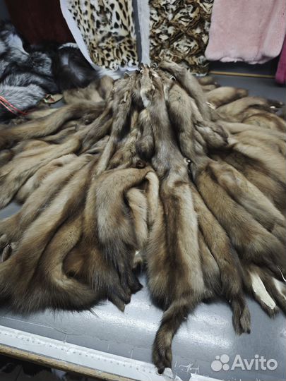 Куница шкуры