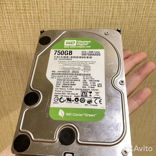 Жесткий диск 750 гб