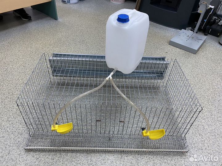 Клетки для перепелов, Перепела, ия, все в наличии