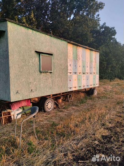 Пасека,пчелоприцеп,пчелопавильон