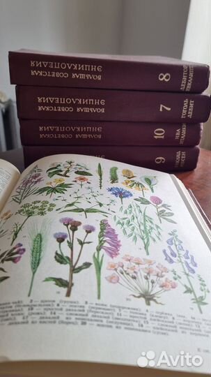 Большая советская энциклопедия 30 томов