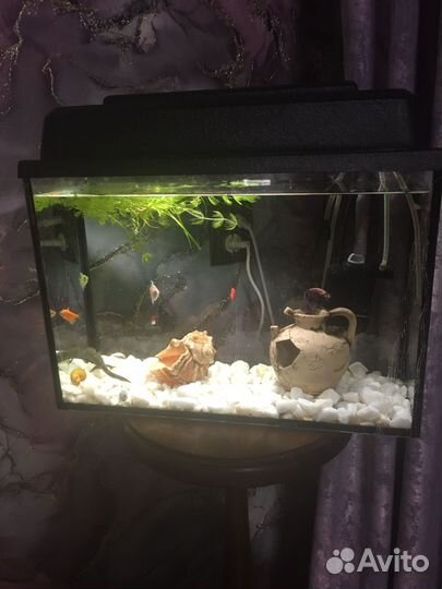 Аквариум 15 л