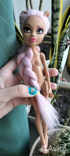 Радуга прожано