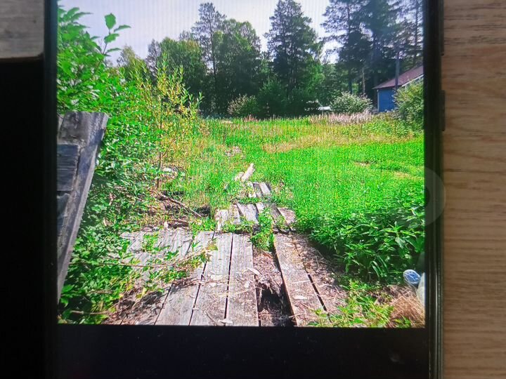 Участок 10 сот. (СНТ, ДНП)