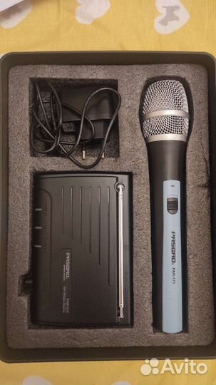 Pasgao PAW210/PAH171 радиосистема с микрофоном