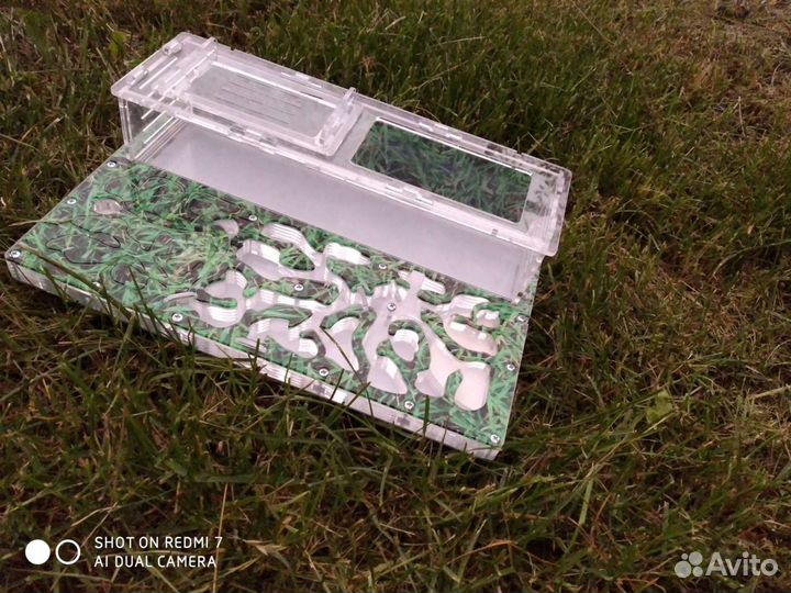 Муравьиная ферма