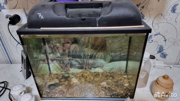 Аквариум