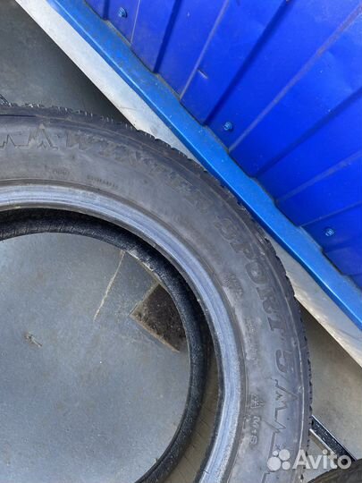 Dunlop Winter Sport 5 195/65 R15