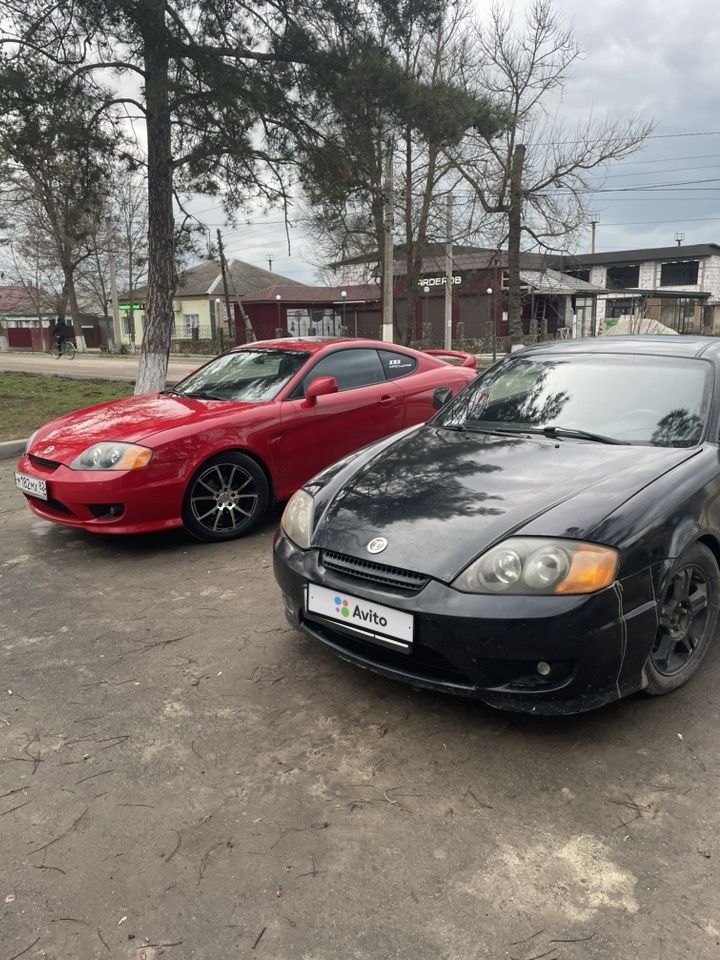 Hyundai Tiburon: фото владельца