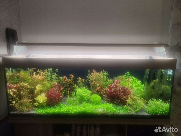 Светильник для аквариума, ремонт, фитосветильники