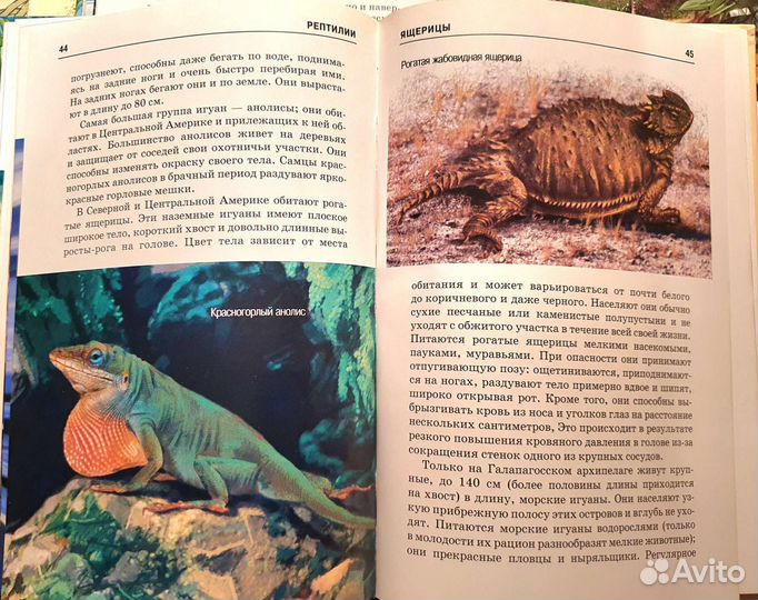 Детские книги о животных. Серия Узнай мир