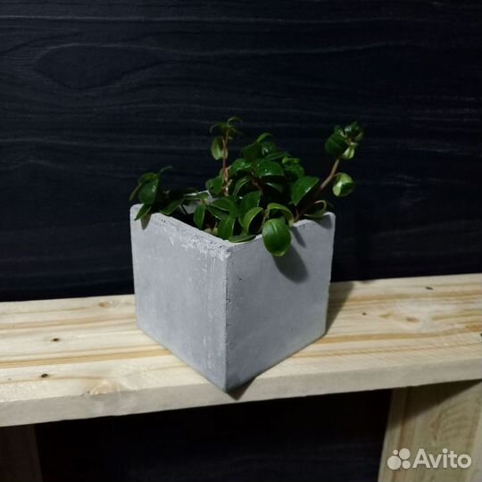 Вазоны, Горшки, Кашпо под заказ из бетона