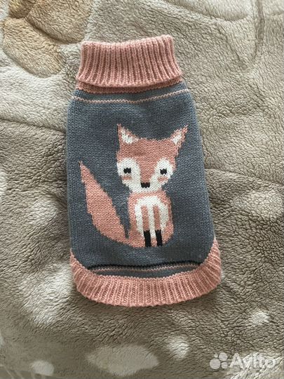 Одежда для маленьких собак