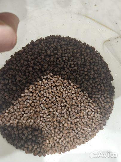 Корм для форели