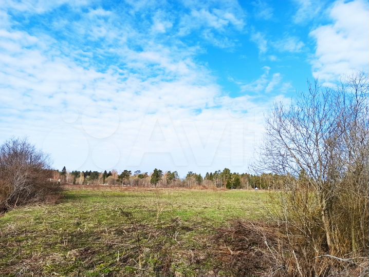 Участок 1,25 га (СНТ, ДНП)