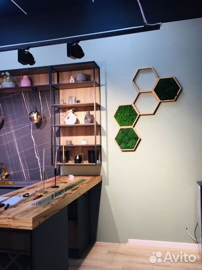 Мох стабилизированный