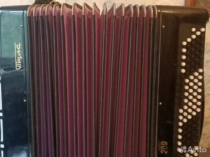 Баян Тула 209