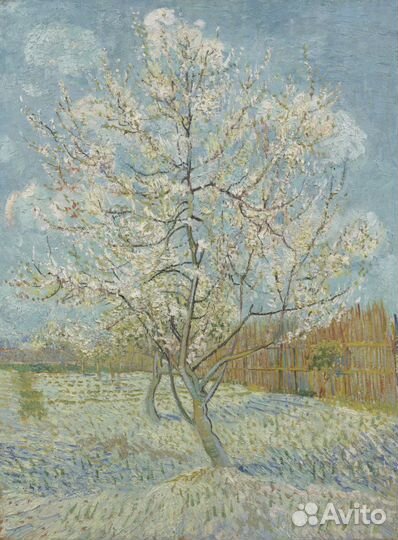 Запись экспериментального музыкального альбома