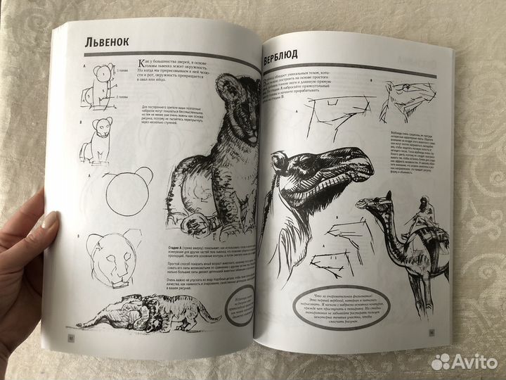 Книги: уроки рисования