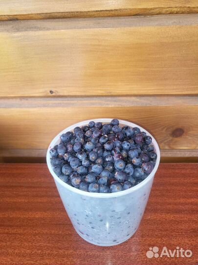 Ирга ягода свежая