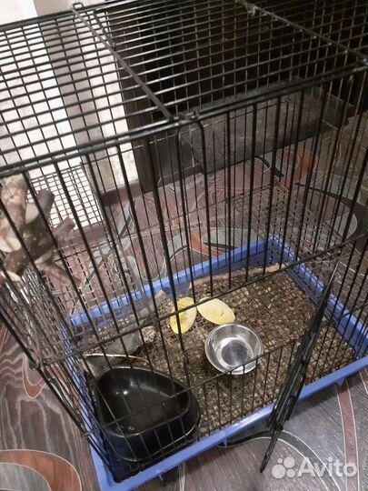 Клетка длч дегу или шиншилл