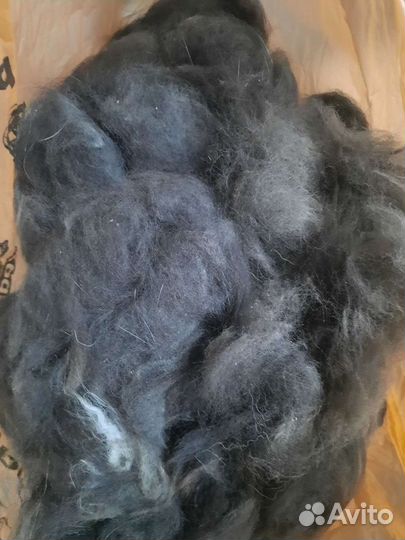 Собачий пух