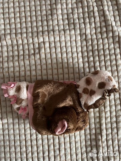 Одежда для маленьких собак