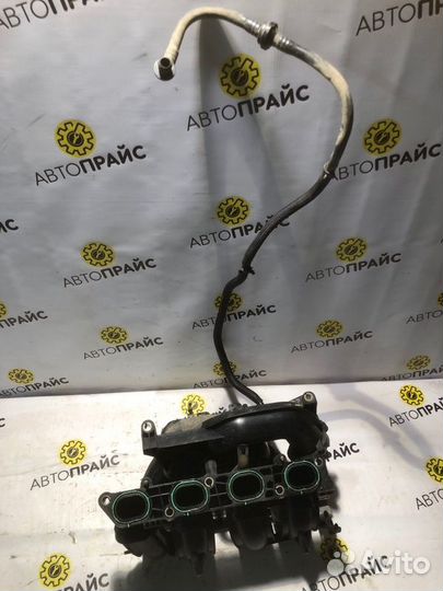 Коллектор впускной Ford Focus 2 sida 1.6 2008