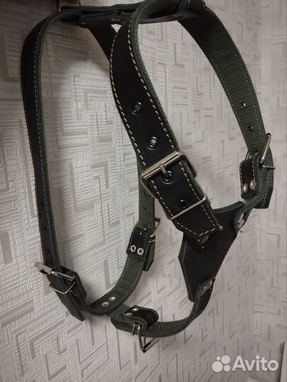 Шлейка для собак