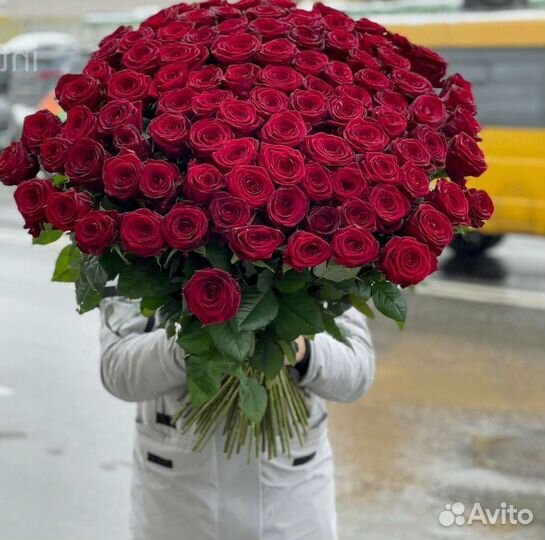 101 роза 51 роза Цветы