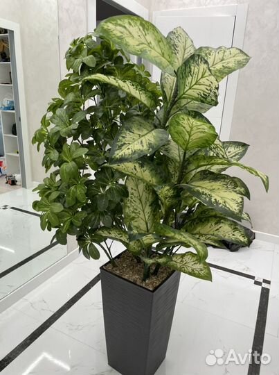 Шефлера дерево искусственное 150 см