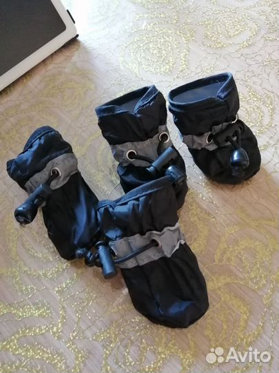 Ботиночки, жилетка, ошейник, шлейка, трусы