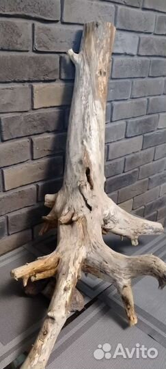 Коряги для аквариума