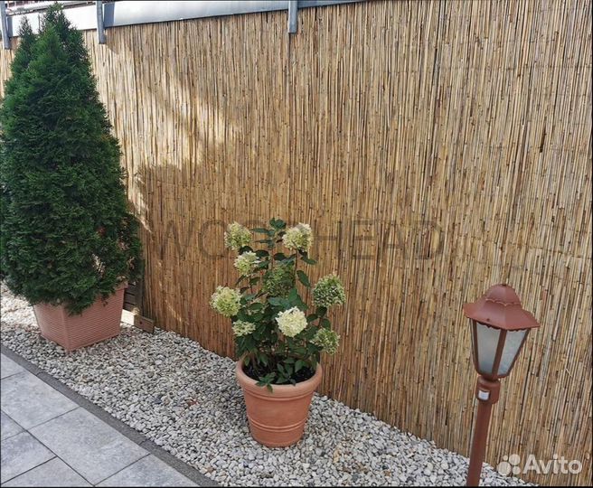 Забор из тростника