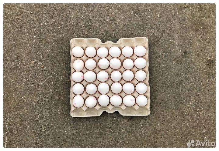 Яйцо куриное с1 белое / продажа от 3 десятков