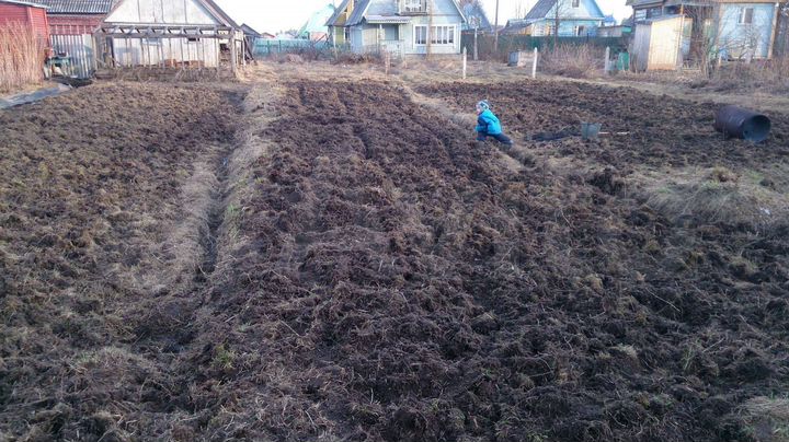 Участок 11 сот. (СНТ, ДНП)