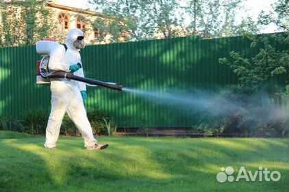 Уничтожение клопов и тараканов, дезинсекция