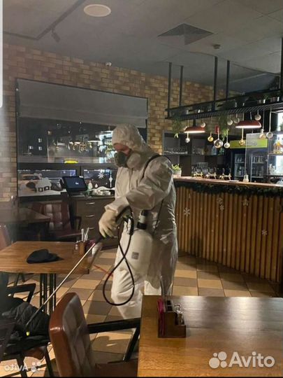 Уничтожение клопов, тараканов. Обработка участков