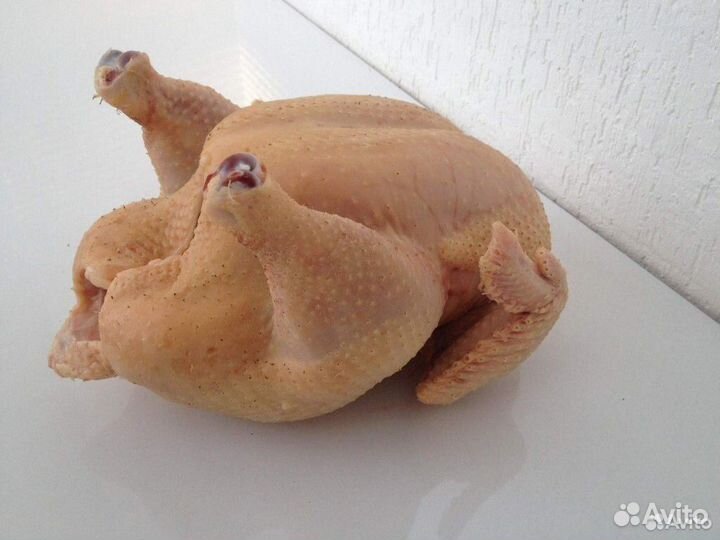 Мясо домашней птицы