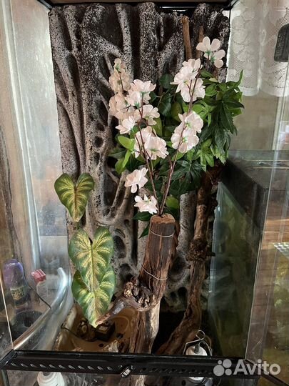 Террариум Exo terra 45x45x90