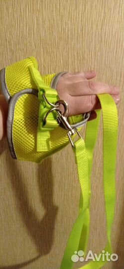 Шлейки, ошейник