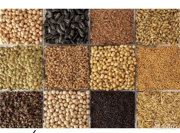 Корма для животных, зерно