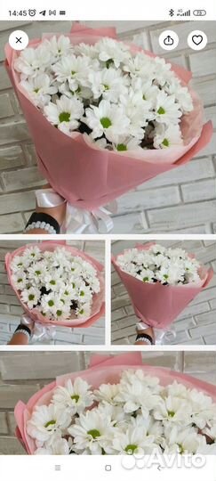 Цветы букет хризантем