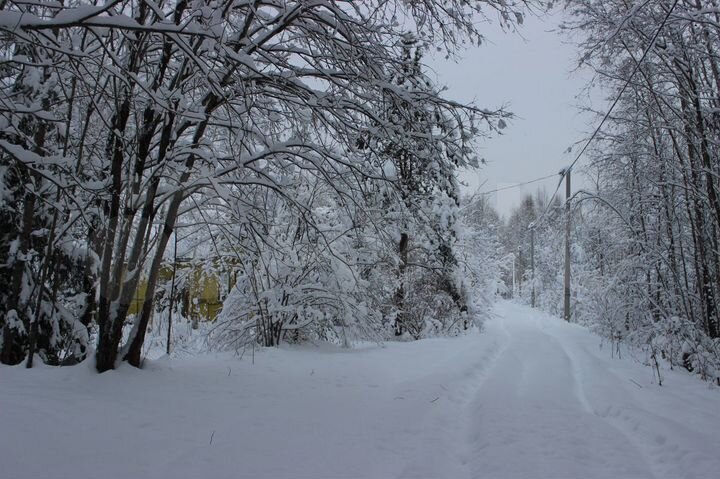 Участок 11,8 сот. (СНТ, ДНП)